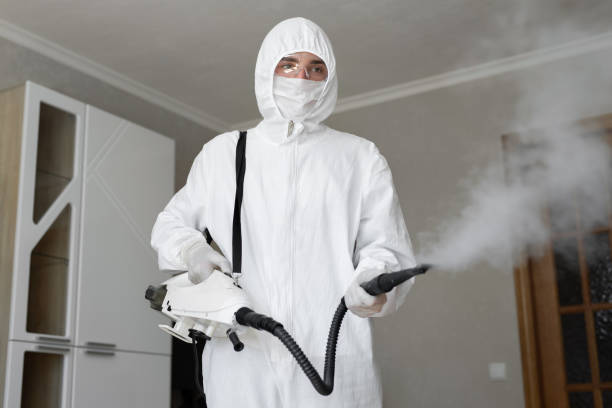 Best Mold Prevention Services  in Squaw Valley, CA